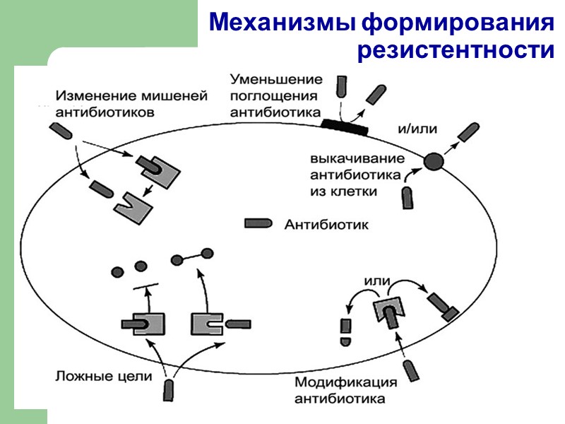 Механизмы формирования резистентности